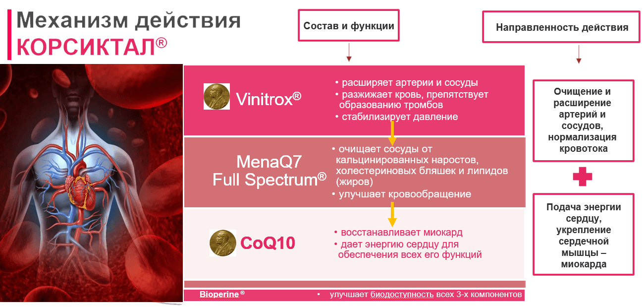 Корсиктал - механизм действия